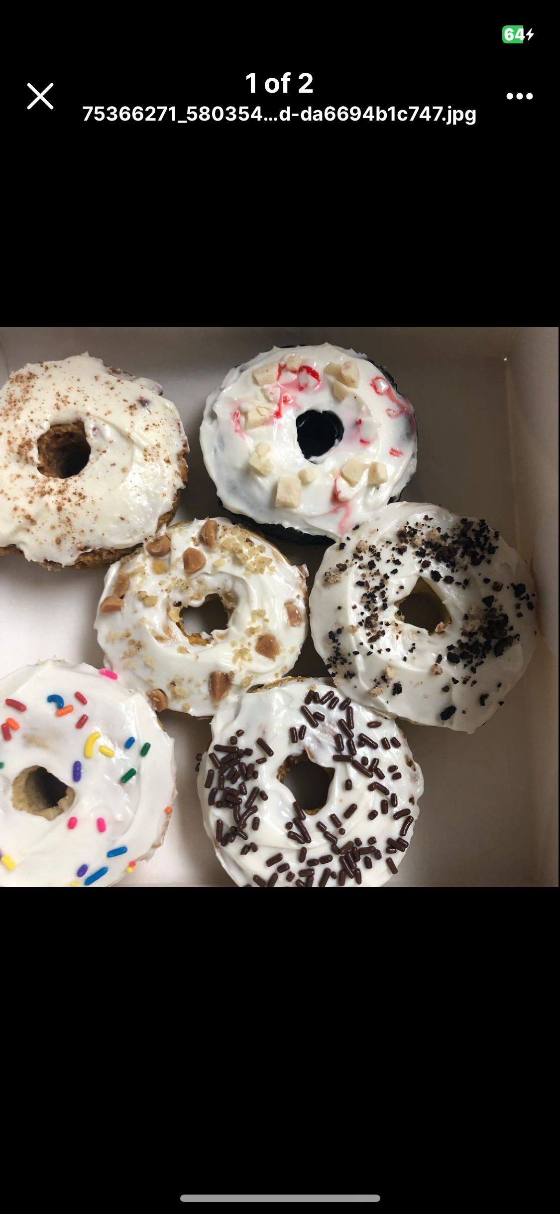 Pronuts (Gluten Free)